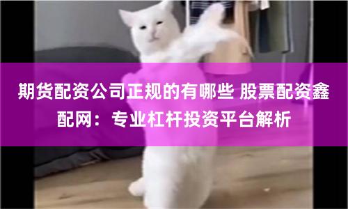 期货配资公司正规的有哪些 股票配资鑫配网：专业杠杆投资平台解析